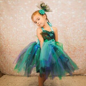 Peacock Princess Kids Costume